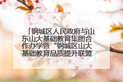 钢城区人民政府与山东山大基础教育集团合作办学暨“钢城区山大基础教育品质提升联盟”签约揭牌活动举行